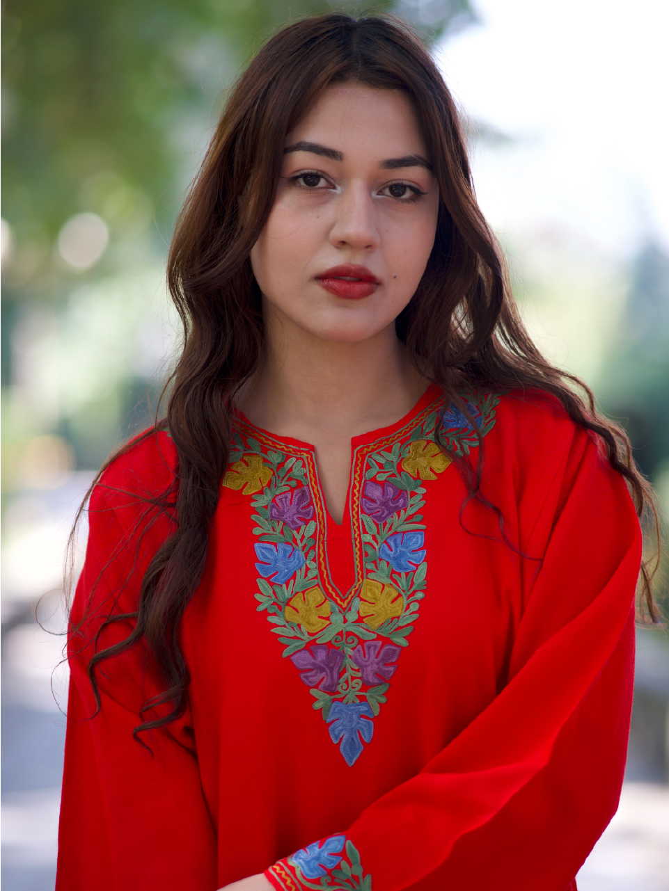 Cashmilon Pheran - Aari