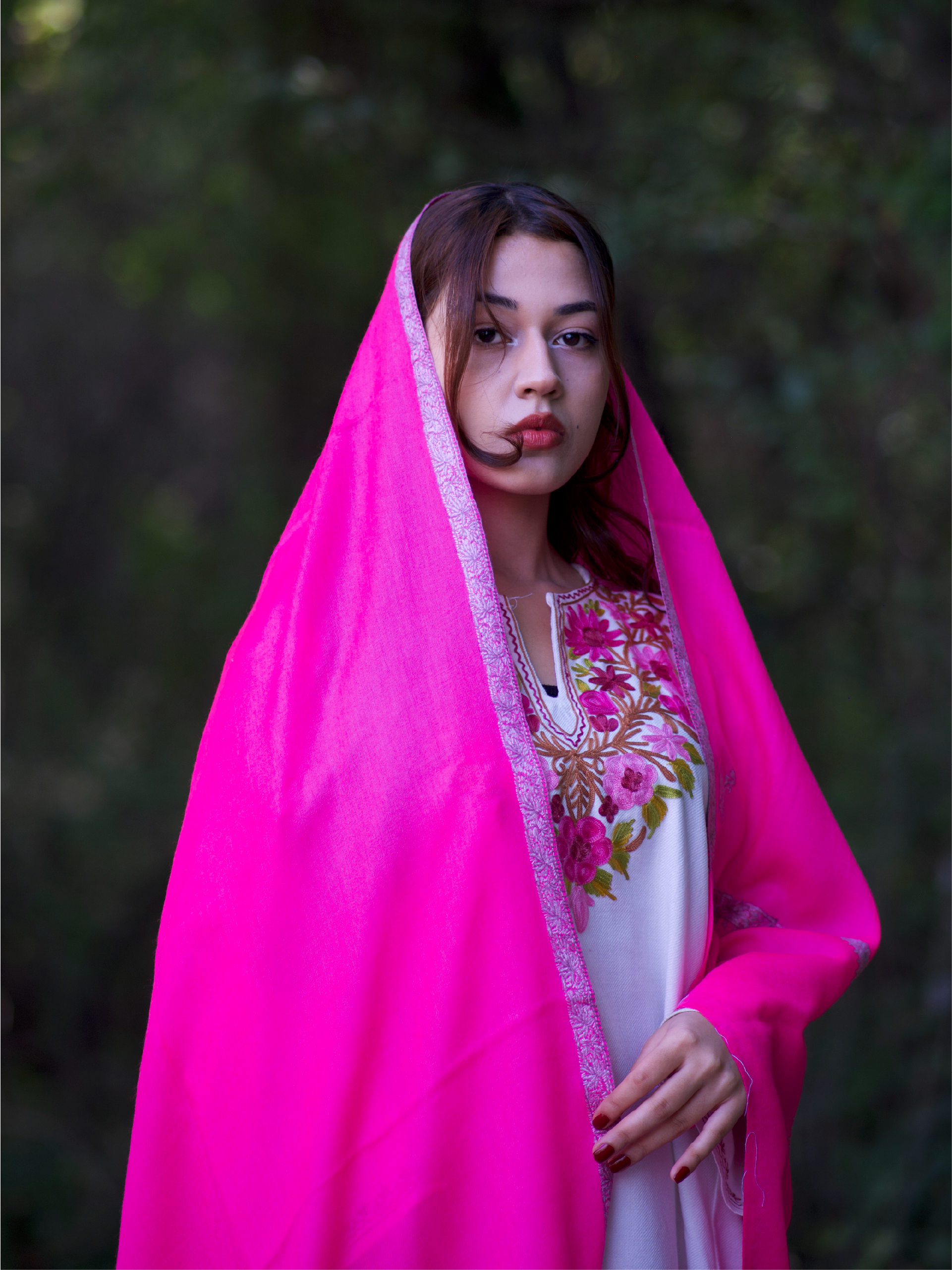 Kashmiri Lambswool | Sozni Stole Neemdore | Premium Heritage