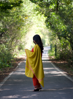 Kashmiri Lambswool | Sozni Stole Neemdore | Premium Heritage