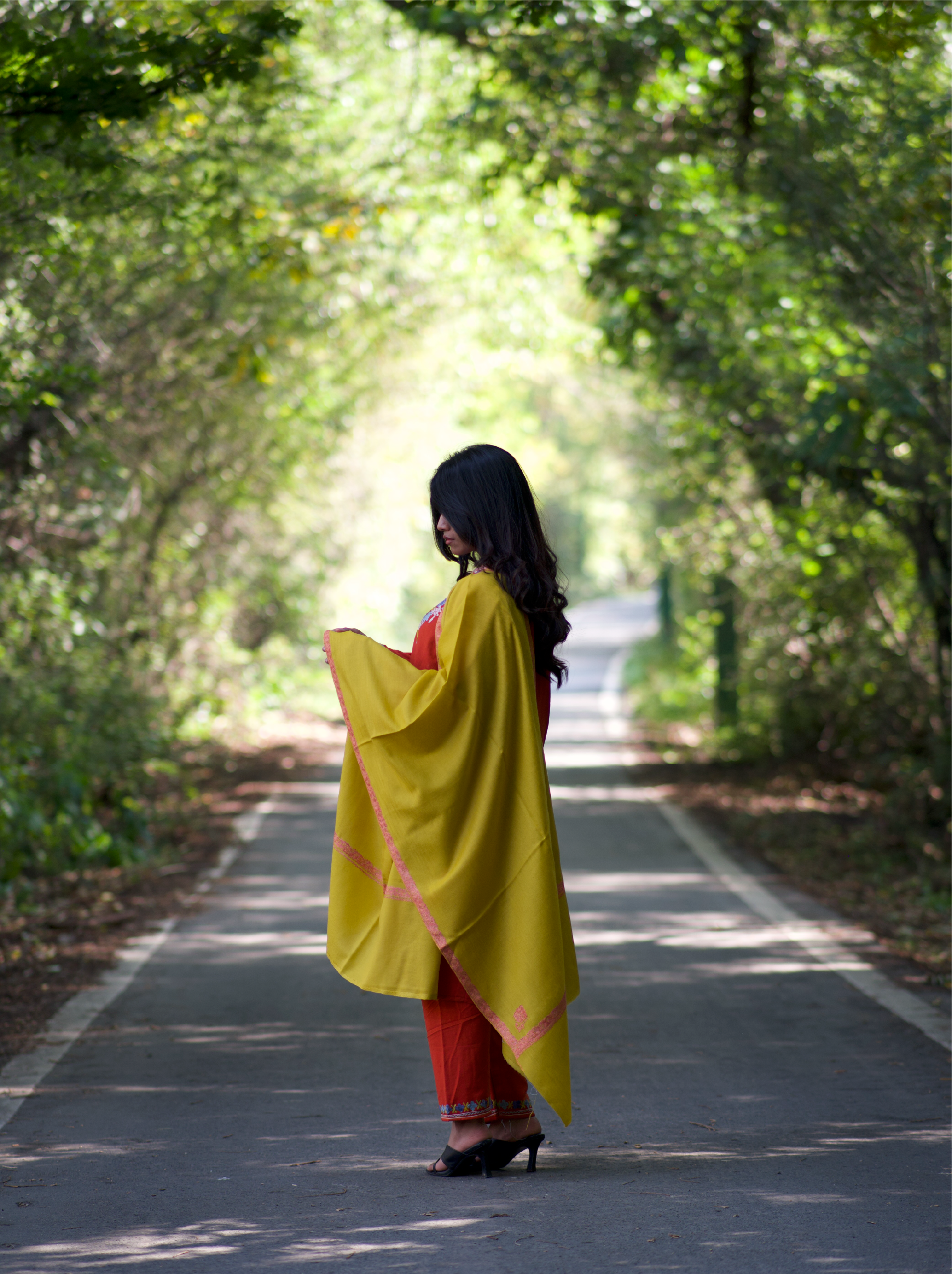 Kashmiri Handwoven Lambswool | Sozni Stole Neemdore – Heena Yellow | Premium Heritage