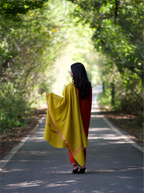 Kashmiri Lambswool | Sozni Stole Neemdore | Premium Heritage