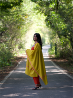 Kashmiri Lambswool | Sozni Stole Neemdore | Premium Heritage