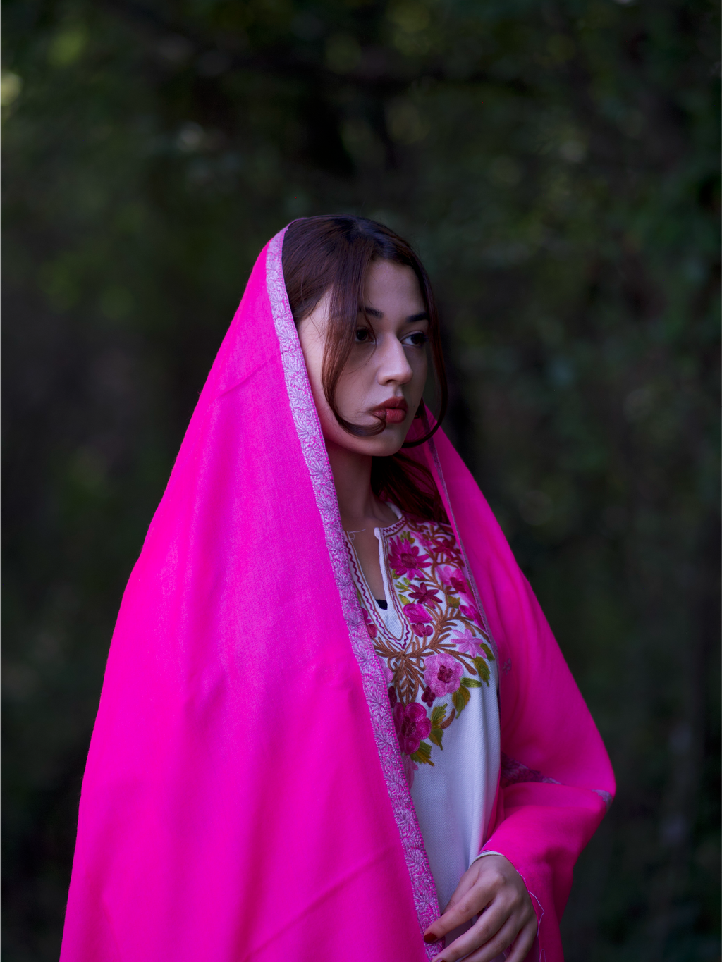 Kashmiri Lambswool | Sozni Stole Neemdore | Premium Heritage