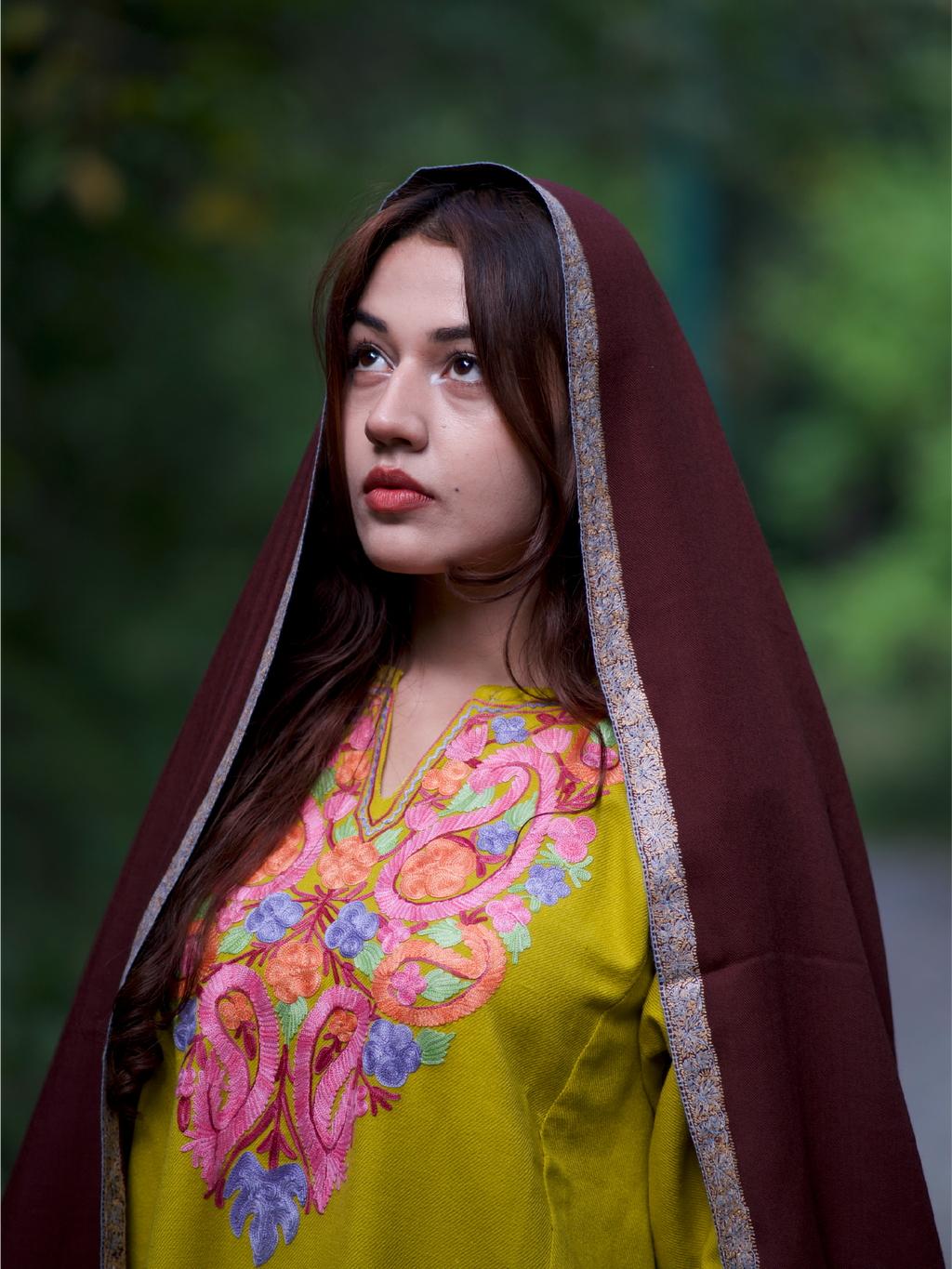 Kashmiri Lambswool | Sozni Stole Neemdore | Premium Heritage