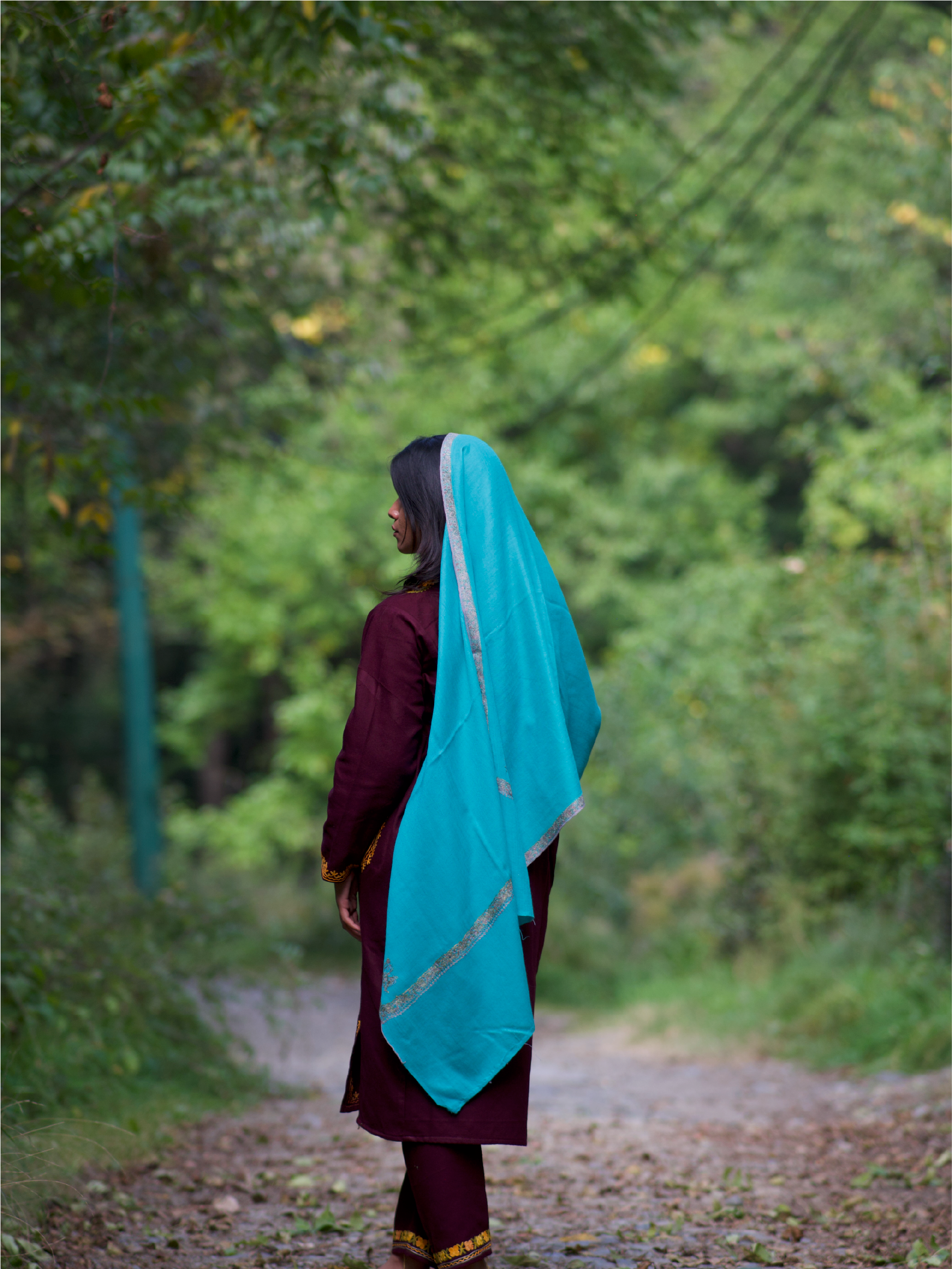 Kashmiri Handwoven Lambswool | Sozni Stole Neemdore – Deep Sky Blue | Premium Heritage