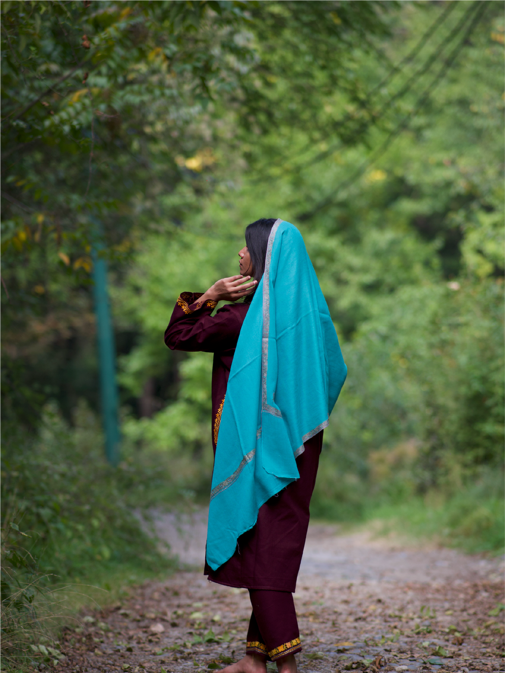 Kashmiri Lambswool | Sozni Stole Neemdore | Premium Heritage