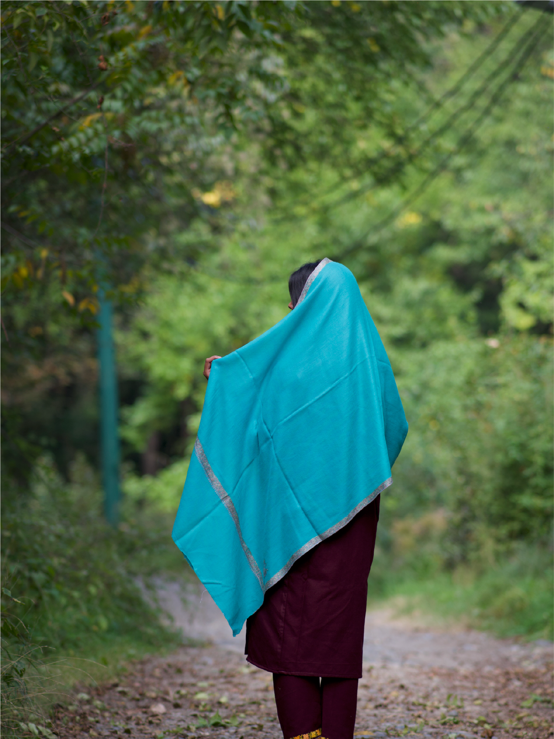 Kashmiri Handwoven Lambswool | Sozni Stole Neemdore – Deep Sky Blue | Premium Heritage
